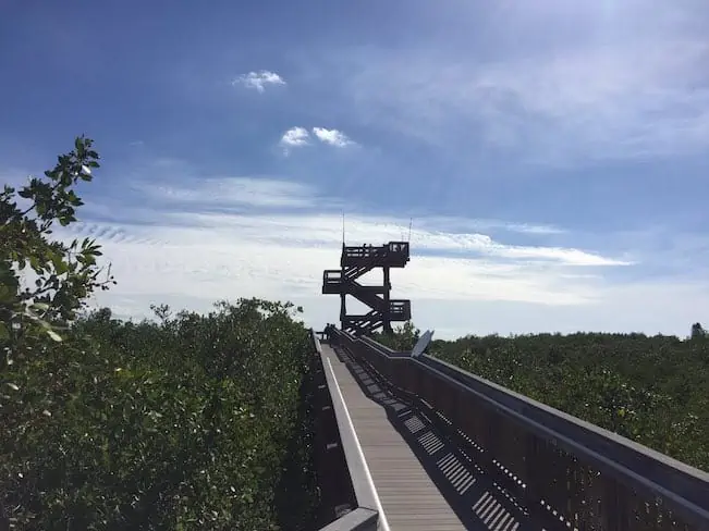 Observation deck at a nature preserve