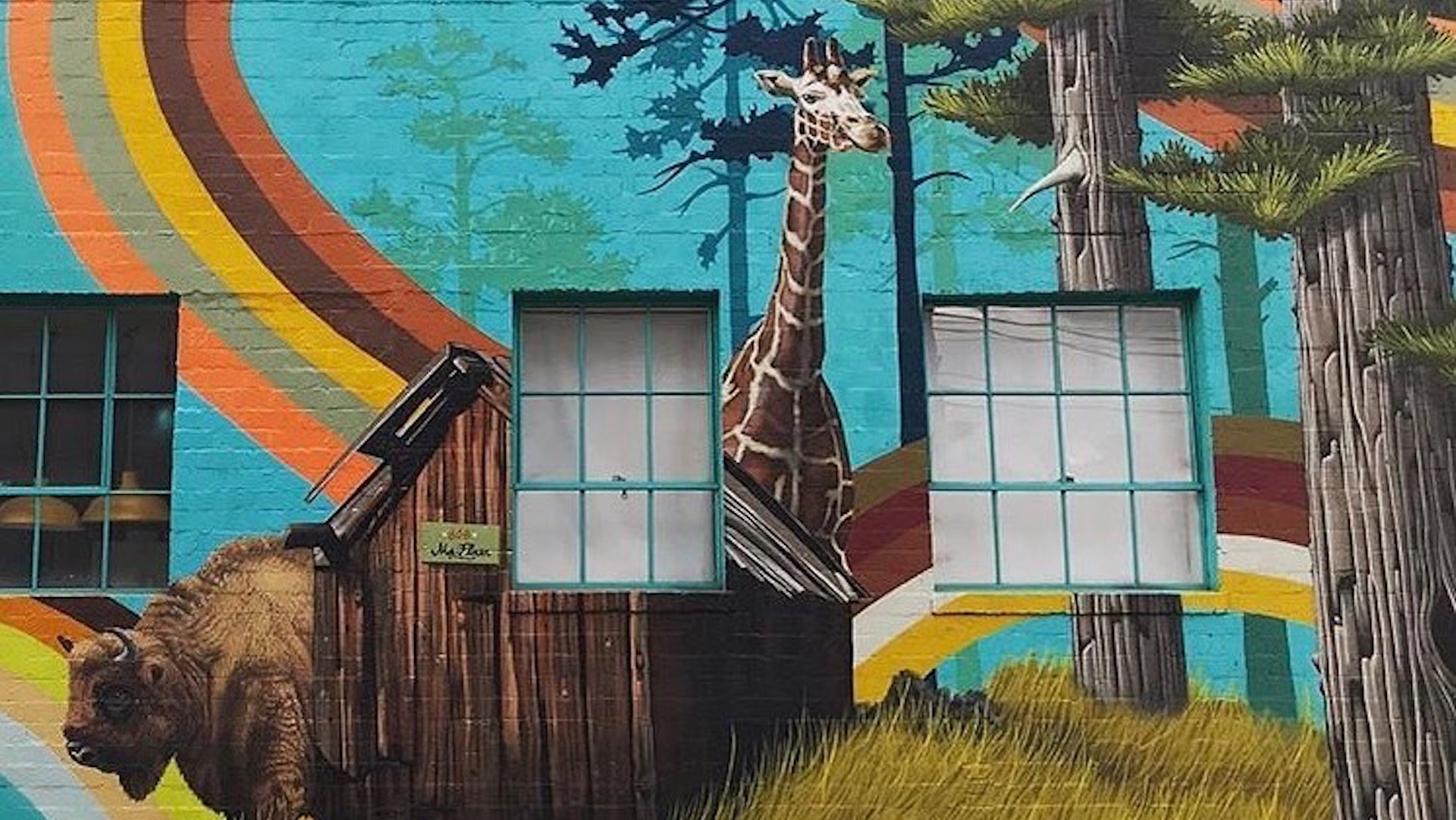 Mural featuring a buffalo and a giraffe against a blue background