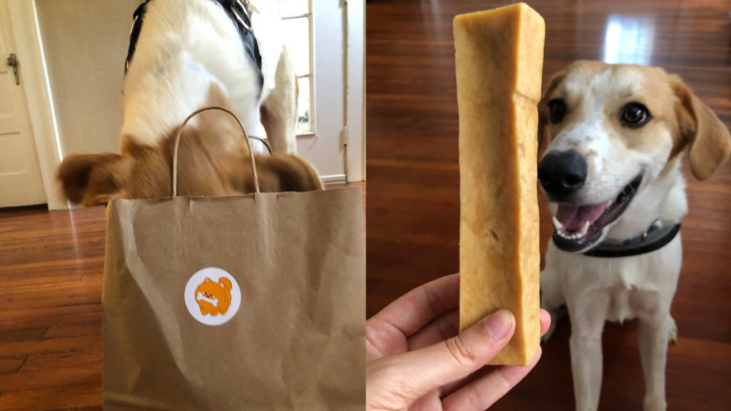 I Love the Burg team pup, Milo, diving headfirst into his PetWorks bag on the left. On the right, Milo smiles at a Himalayan Cheese Stick dog treat.