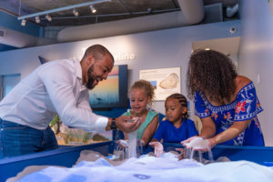 Photo of adults and kids investigating marine life in an estuary