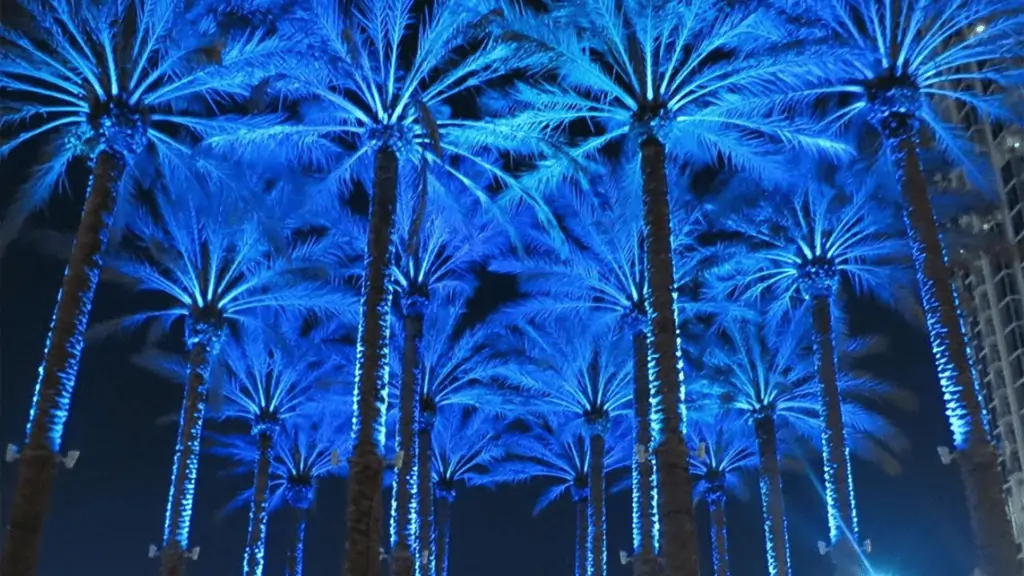 Image of palm trees lit up in blue