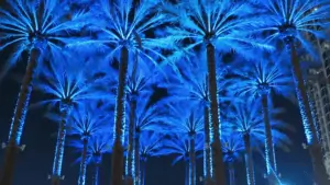 Image of palm trees lit up in blue