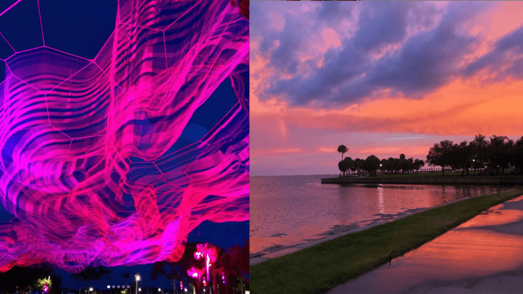 Image of Janet Echelman installation and sunset on the bay