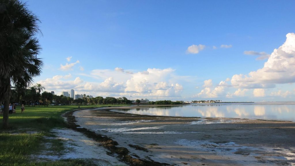 Photo of beach and green space on the waterfront