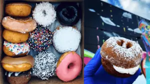 Photo of assorted cake donuts with frosting