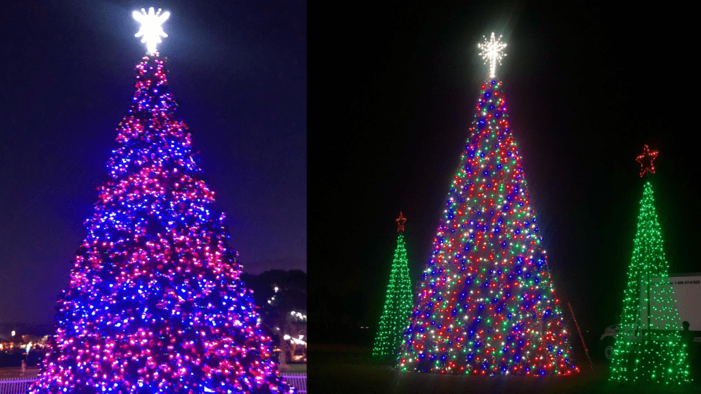 Two tall Christmas trees lit up with blue, red, green, and purple lights