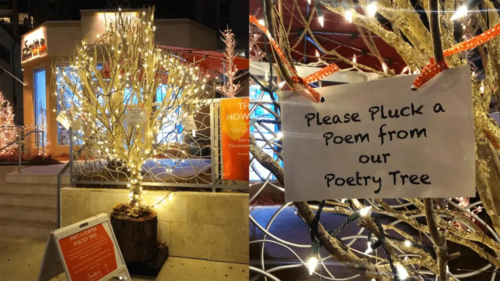 A brightly lit tree with poems tied to the branches