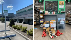 Exterior of a giant pet store and grooming station