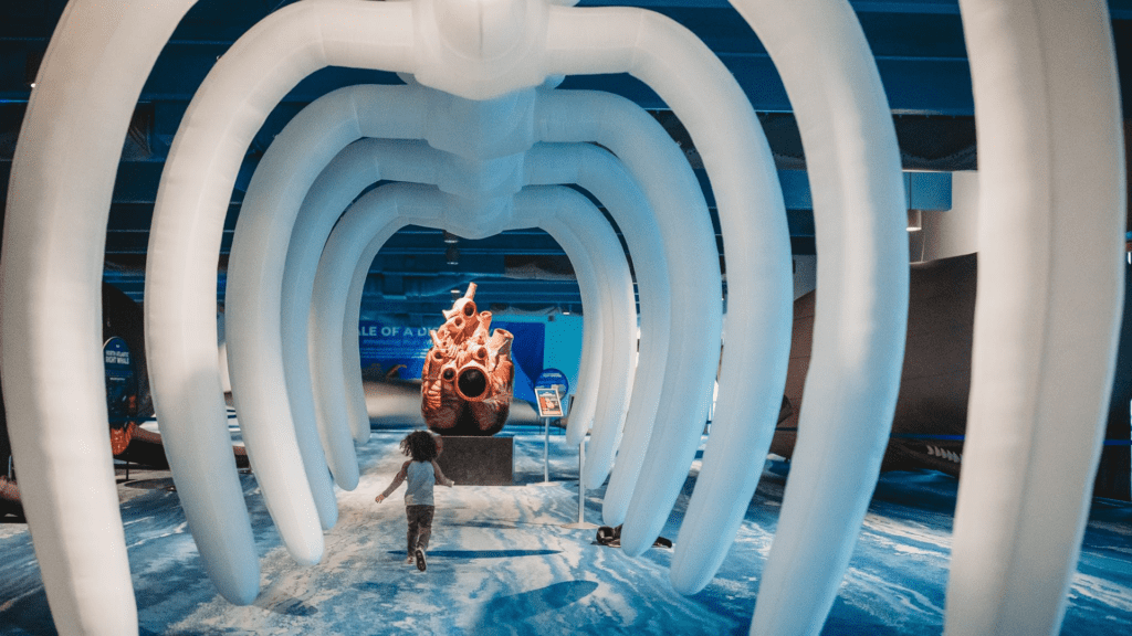 a whale exhibition at a marine aquarium