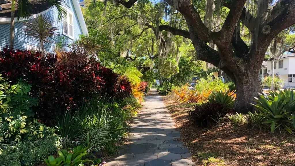 a quick stroll through an idyllic neighborhood with lush greenery 