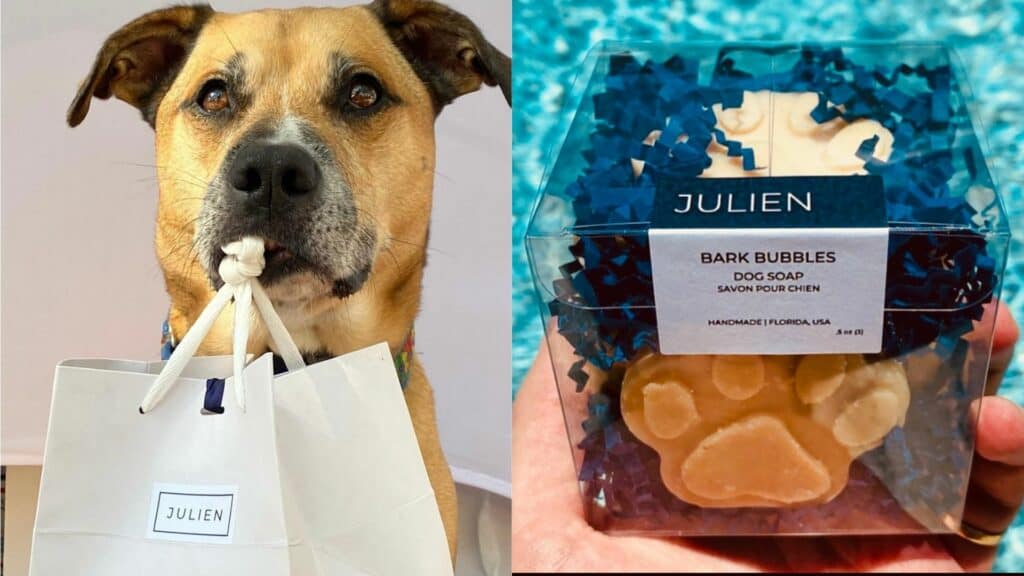 A dog and Julien's dog soap