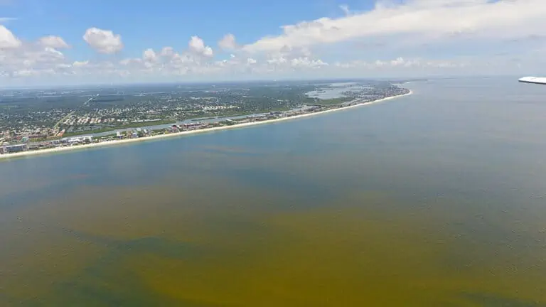aerial view of Tampa Bay and beaches with red tide