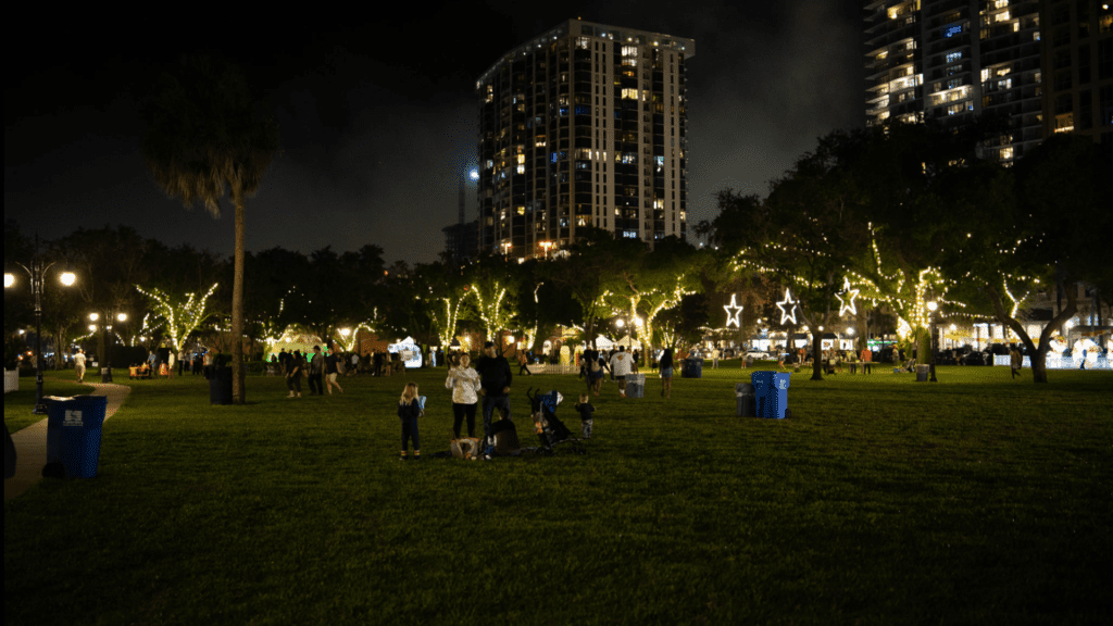 NYE revelers in the park at night