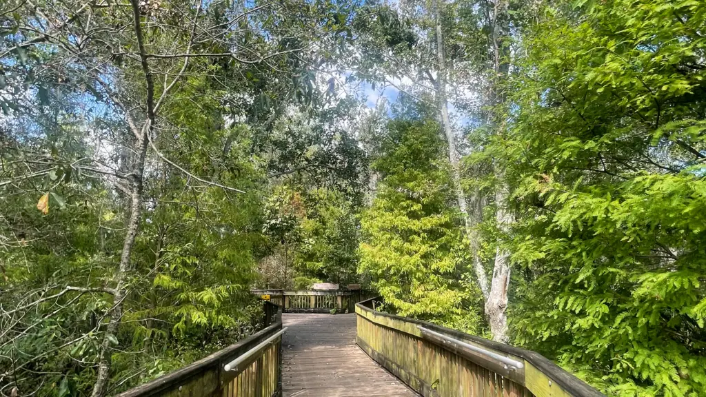a guided trail bridge at a public park