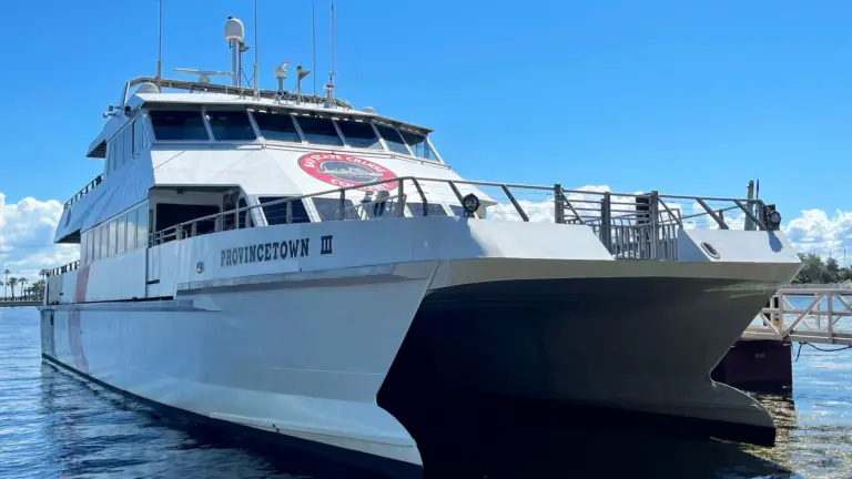 Large ferry vessel in the water