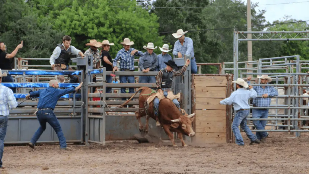Cowboys at a rodeo