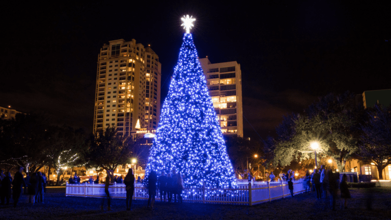 The St. Pete Christmas tree lit up at night