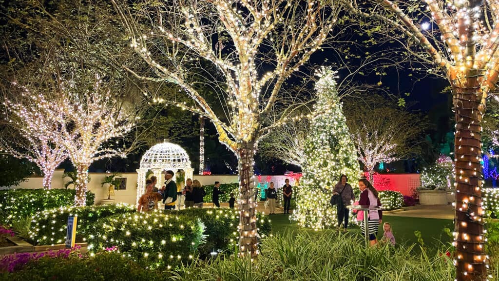 holiday lights in the botanical gardens