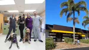 The Bayview staff and the exterior of their clinic