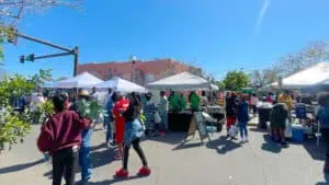 Tampa Bay Collard Greens Festival local market