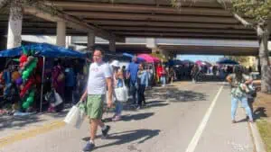 Tampa Bay Collard Greens Festival local market