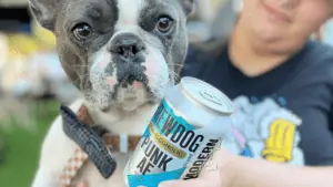 A dog with an NA beer