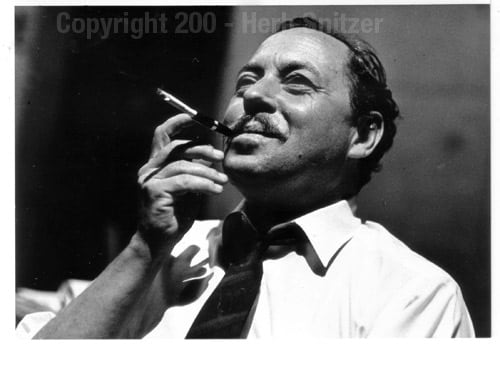 Tennessee Williams smiling for the camera