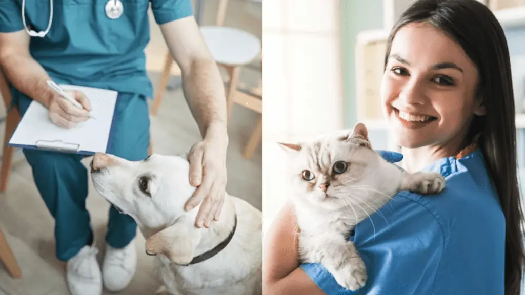 Doctors with pets at a vet clinic