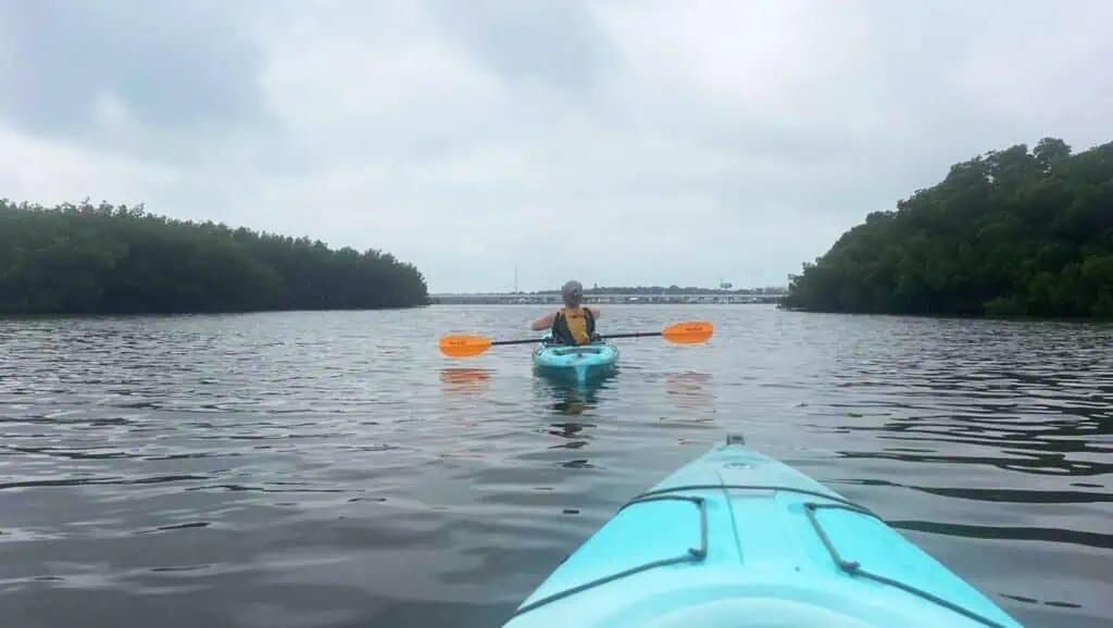 Two kayaks in the water with mangrove tunnels on either side.