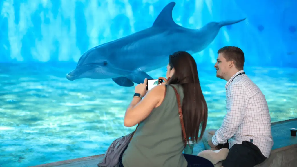 People with animals at The Clearwater Aquarium