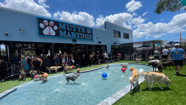 Mutts & Martinis Now Open, Florida’s First Dog Waterpark And Full ...