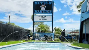 The pool at Mutts & Martinis