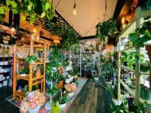 Inside Bloom House Florist + Bazaar