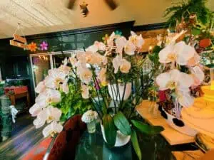 a stunning display of white orchids