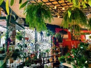 Inside Bloom House Florist + Bazaar