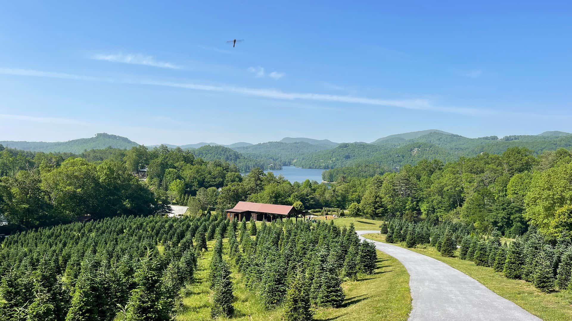 Chimney Pond Farm: A Haven for Sustainable Farming and Community ...