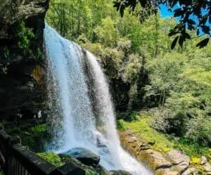 A rushing waterfall surrounded by greenery