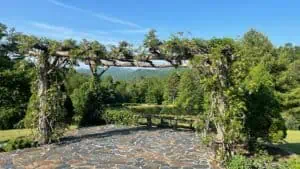 Alter on a hill with an archway covered in ivy