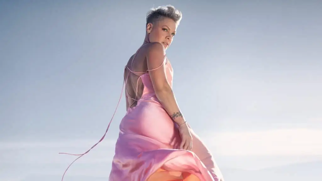 The artist P!NK wearing a pink dress with a sky in the background