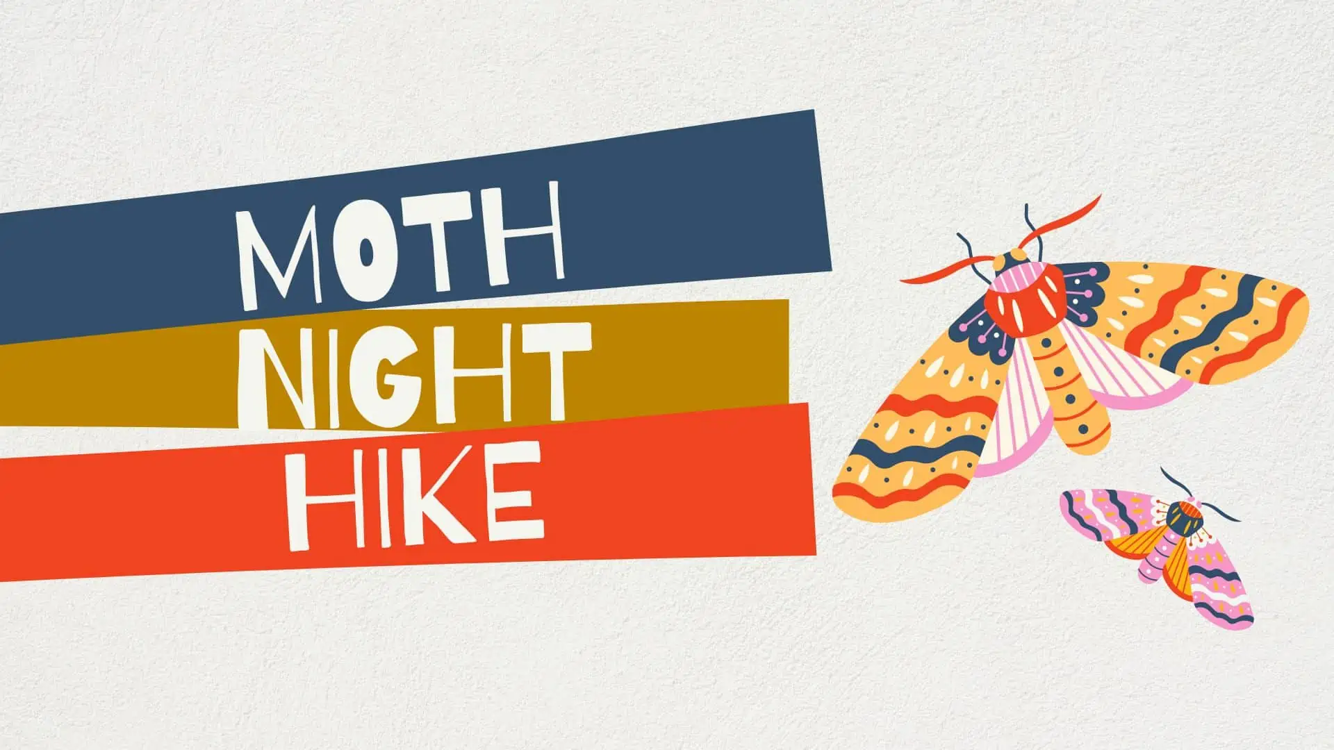 Moth Night Hike