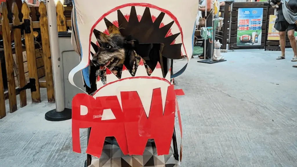 A dog dressed as a shark