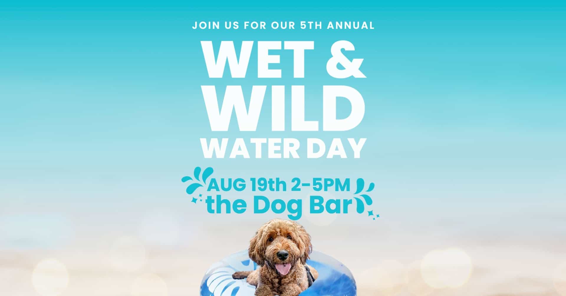 Wet & Wild Water Day at Dog Bar St. Pete