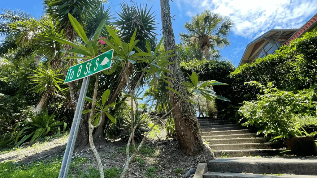 steep steps lead to a garden area with tall green palm trees