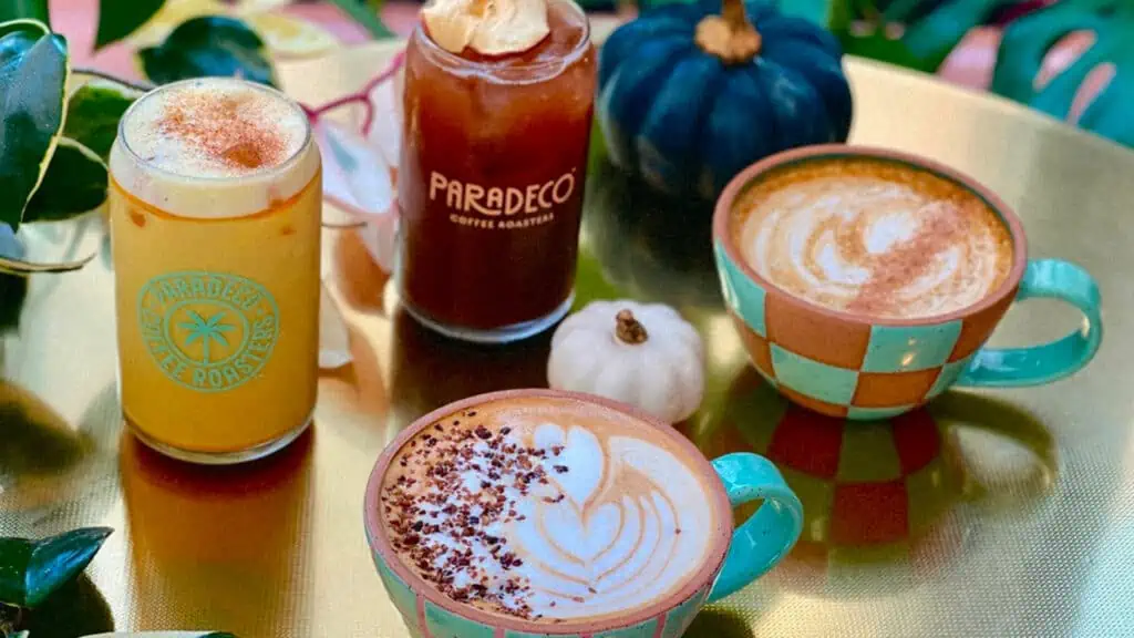 a group of fall drinks from paradeco coffee