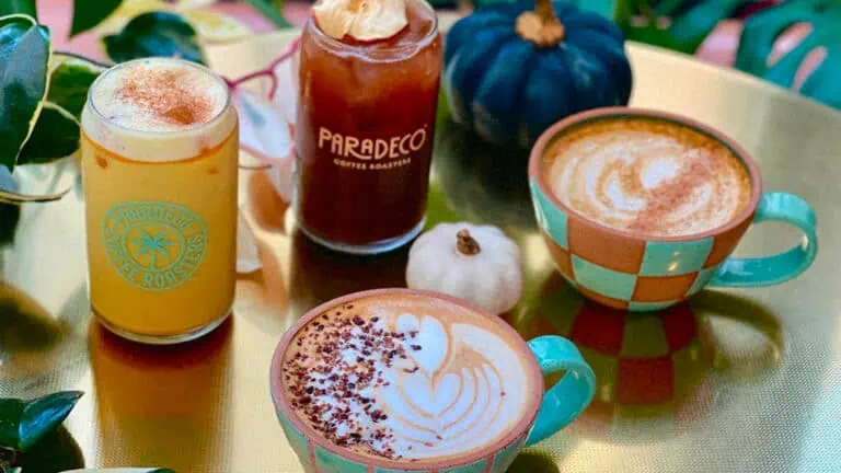 a group of fall drinks from paradeco coffee