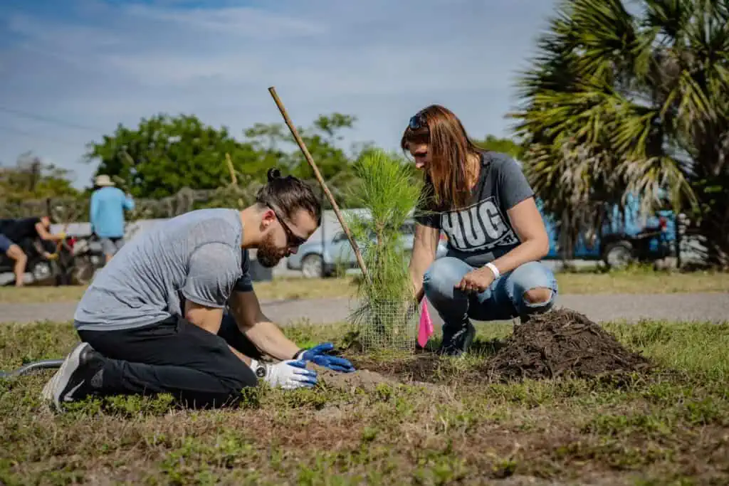 two people plant a tree together 