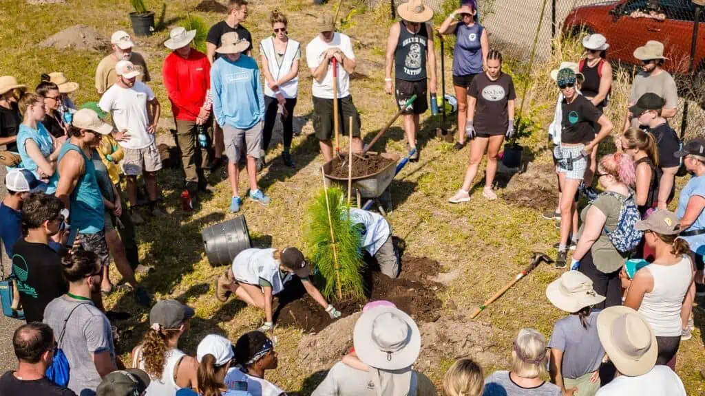 a group of volunteers gather around a tree being planted