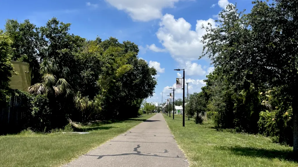 a biking trail surrounding by trees