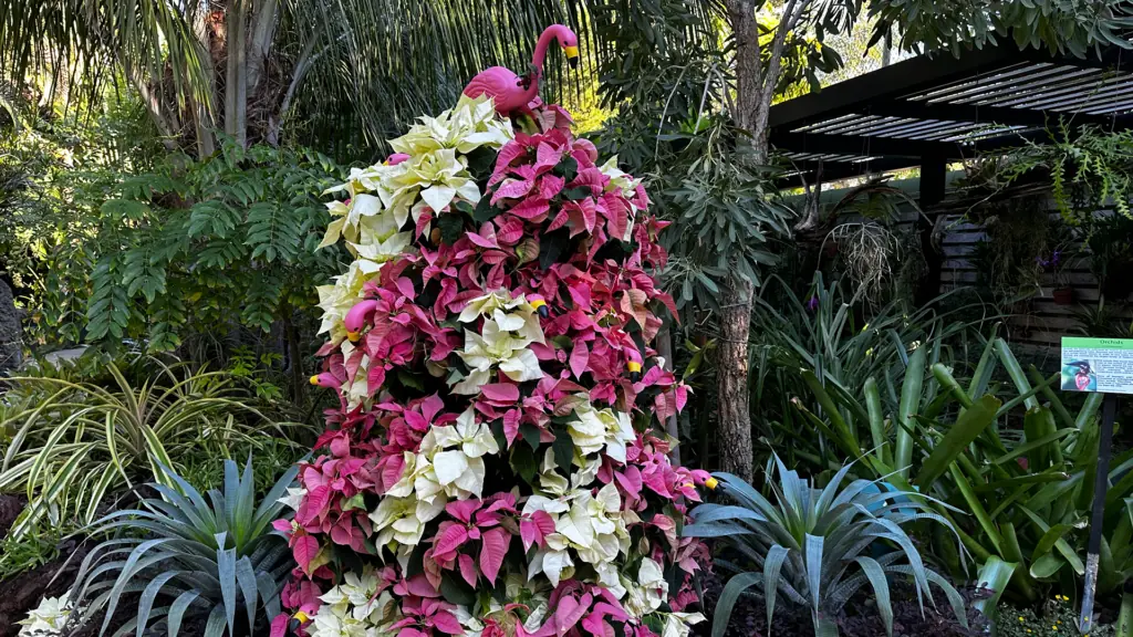 pink and yellow poinsettia tree topped with a flamingo