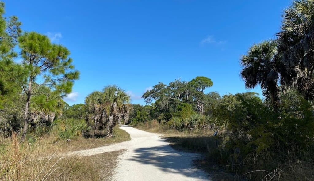 a park during the day with a sandy trail 